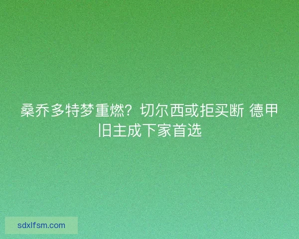 桑乔多特梦重燃？切尔西或拒买断 德甲旧主成下家首选