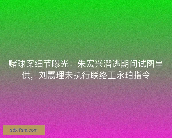 赌球案细节曝光：朱宏兴潜逃期间试图串供，刘震理未执行联络王永珀指令