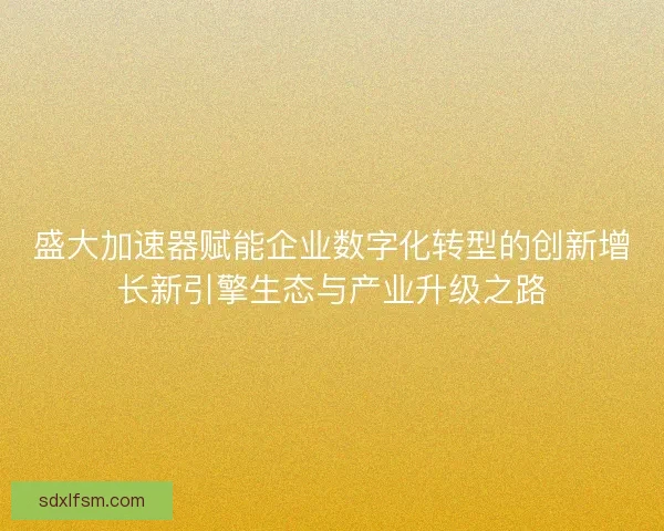 盛大加速器赋能企业数字化转型的创新增长新引擎生态与产业升级之路