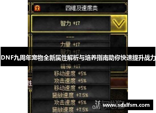 DNF九周年宠物全新属性解析与培养指南助你快速提升战力