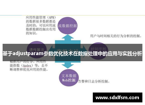 基于adjustparam参数优化技术在数据处理中的应用与实践分析